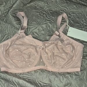 Lasper Pink Lace Bra 36 C